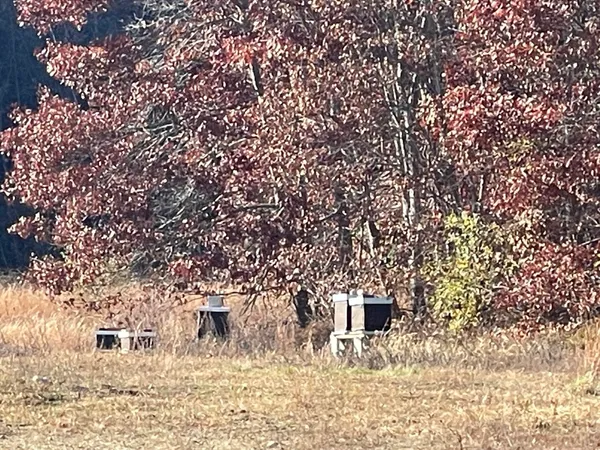 a picture of city view