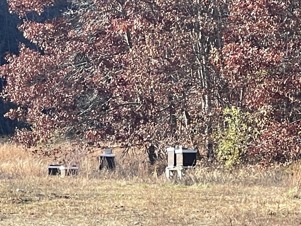 1 Elm Street Halifax, MA 02338 - Photo 6 of 26 a picture of city view