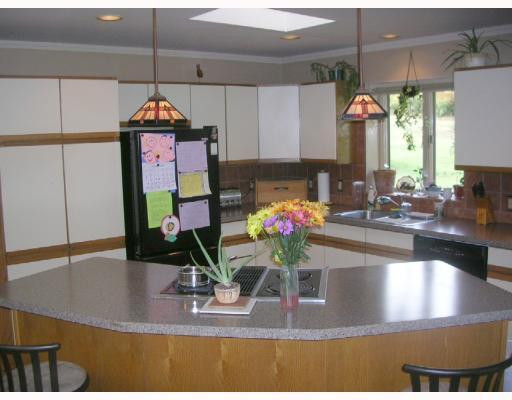 13900 Island Lake Road Chelsea, MI 48118 - Photo 2 of 10 Photo 2