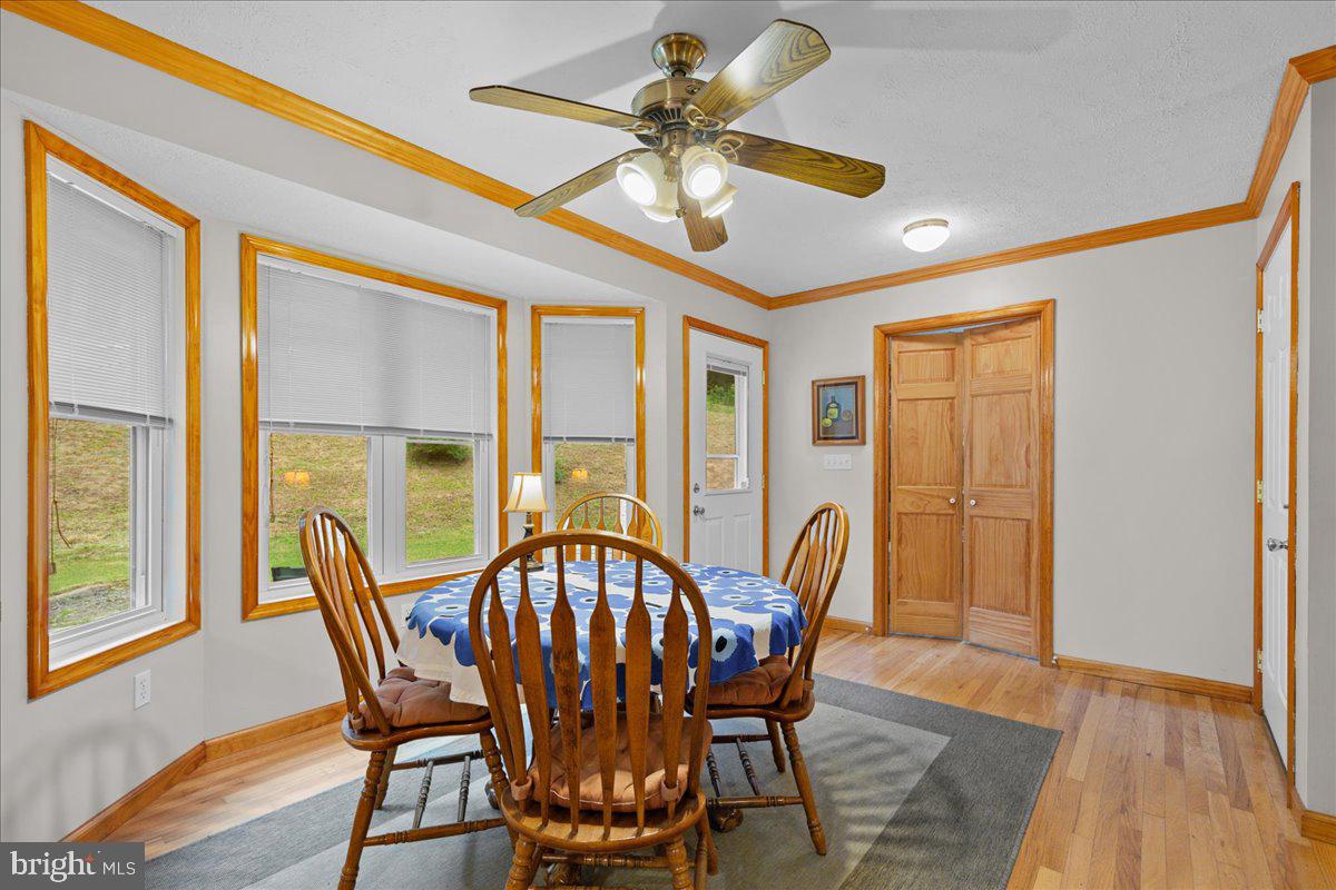 906 Cauthorn Mill Road Middletown, VA 22645 - Photo 21 of 47