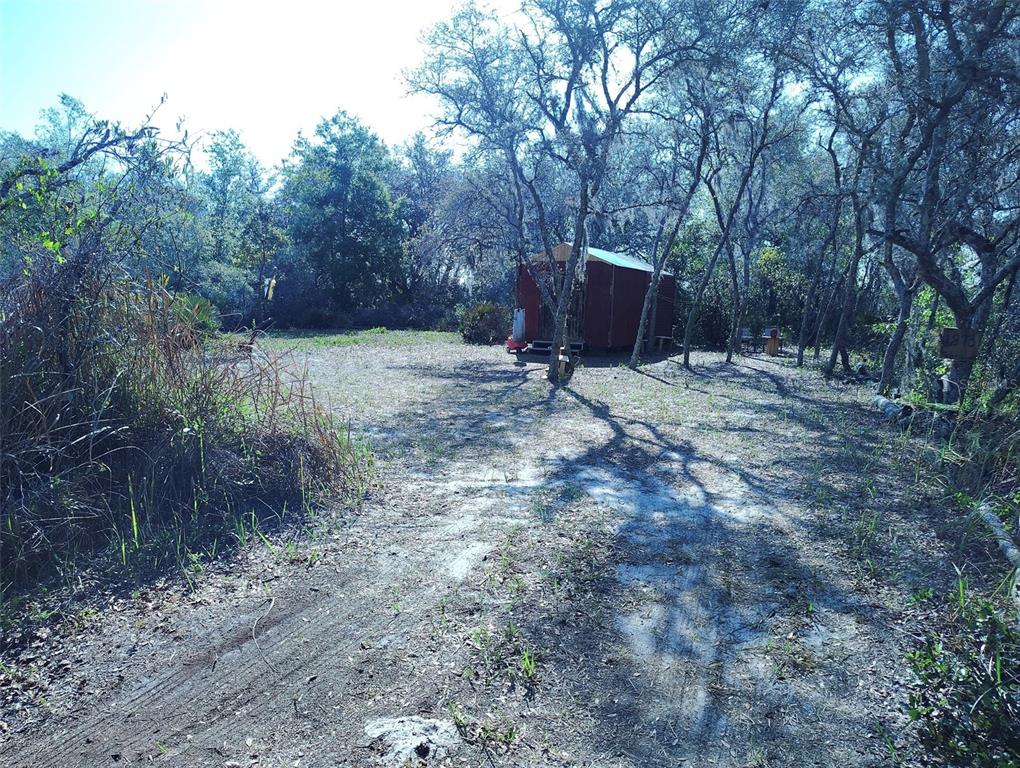 a backyard of a house with large trees and wooden fence