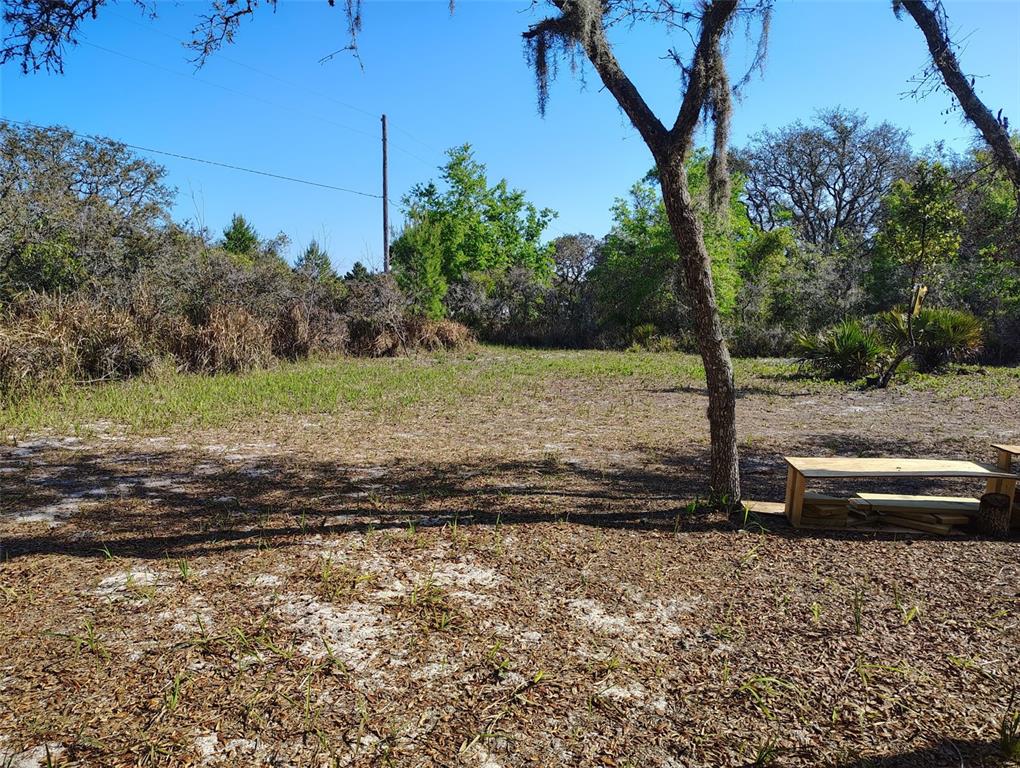 1873 West Foxglove Road Avon Park, FL 33825 - Photo 13 of 14 a view of a yard