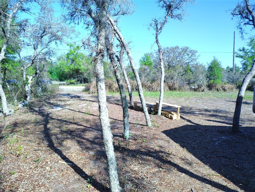 1873 West Foxglove Road Avon Park, FL 33825 - Photo 14 of 14 a view of a park with large trees