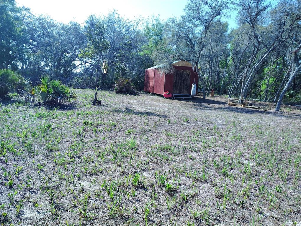 1873 West Foxglove Road Avon Park, FL 33825 - Photo 10 of 14 a view of a backyard with large trees
