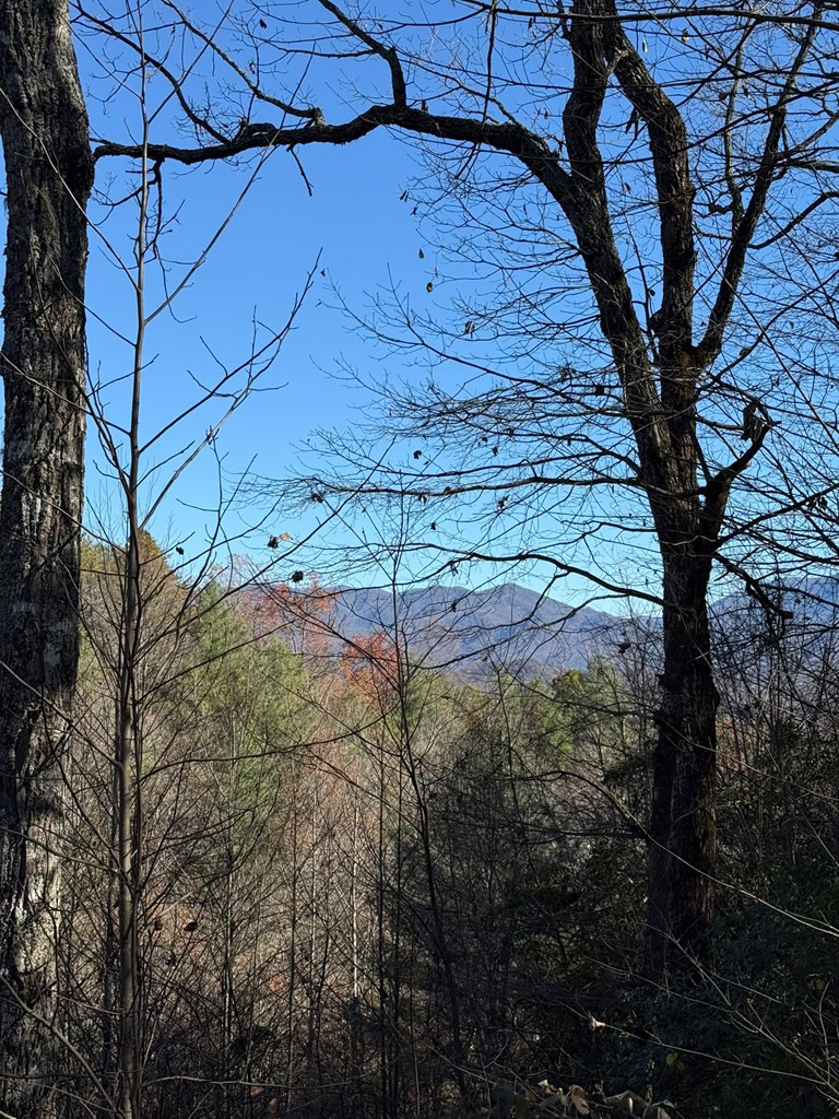 0 Airport Road Andrews, NC 28901 - Photo 2 of 12