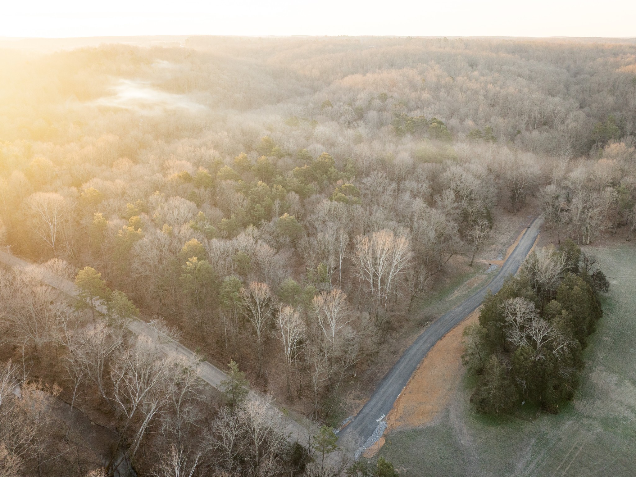 2 Pinewood Road Nunnelly, TN 37137 - Photo 12 of 13 a view of a yard