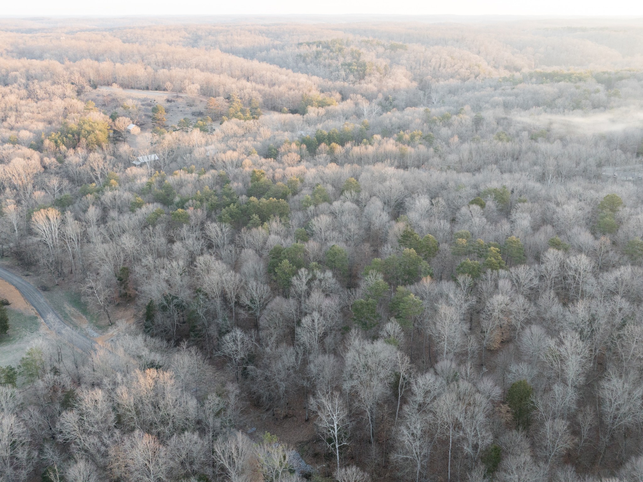 2 Pinewood Road Nunnelly, TN 37137 - Photo 13 of 13 a view of a dry yard