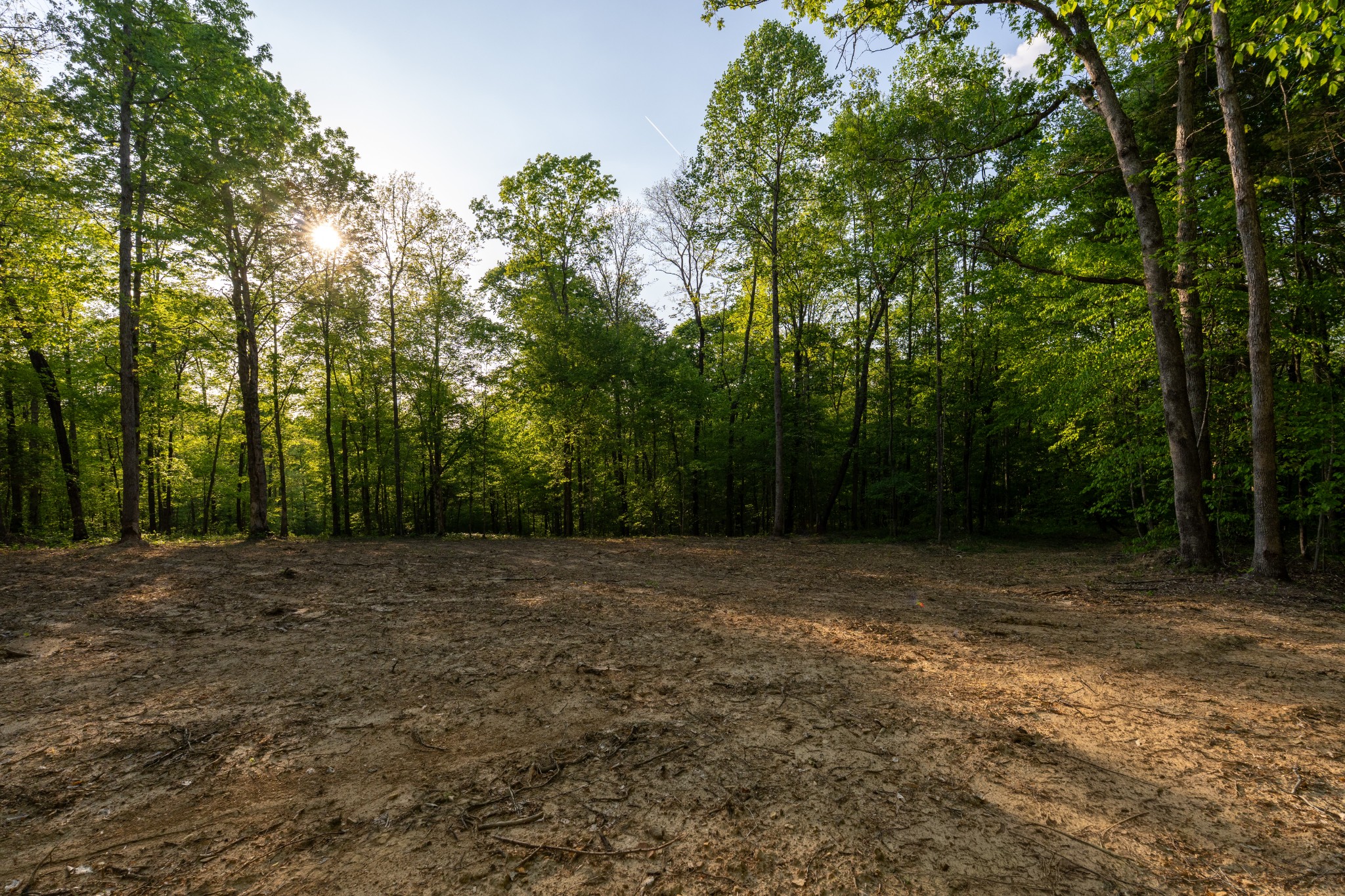 2 Pinewood Road Nunnelly, TN 37137 - Photo 3 of 10 a view of a field with trees in the background