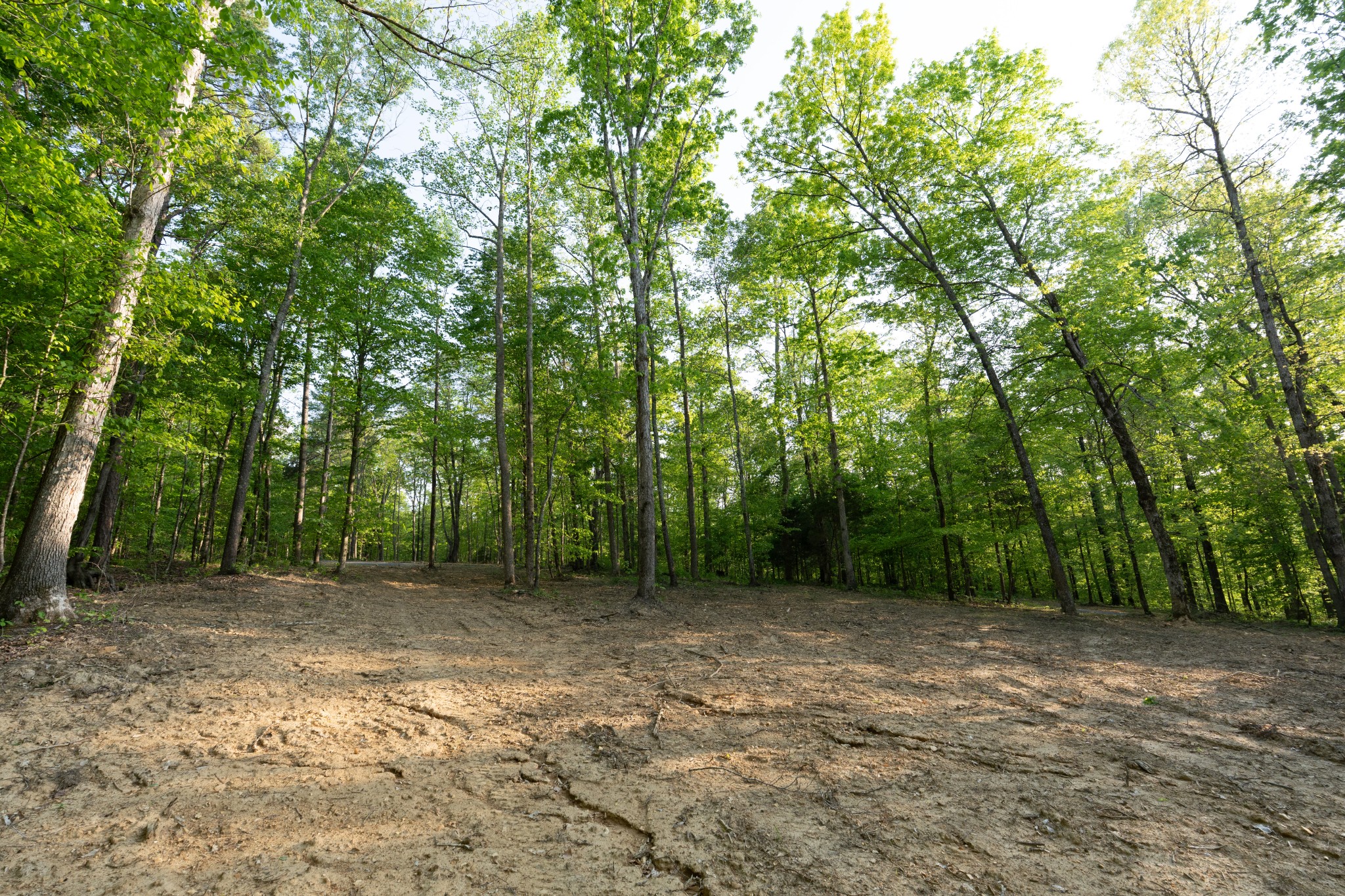 2 Pinewood Road Nunnelly, TN 37137 - Photo 4 of 10 a big yard with lots of green space and trees