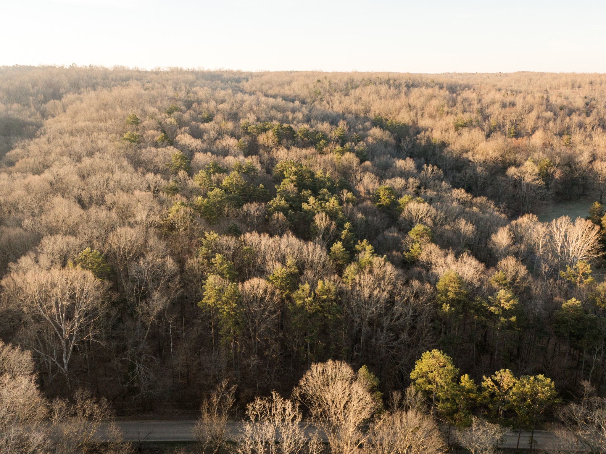 2 Pinewood Road Nunnelly, TN 37137 - Photo 9 of 13 an aerial view of multiple house