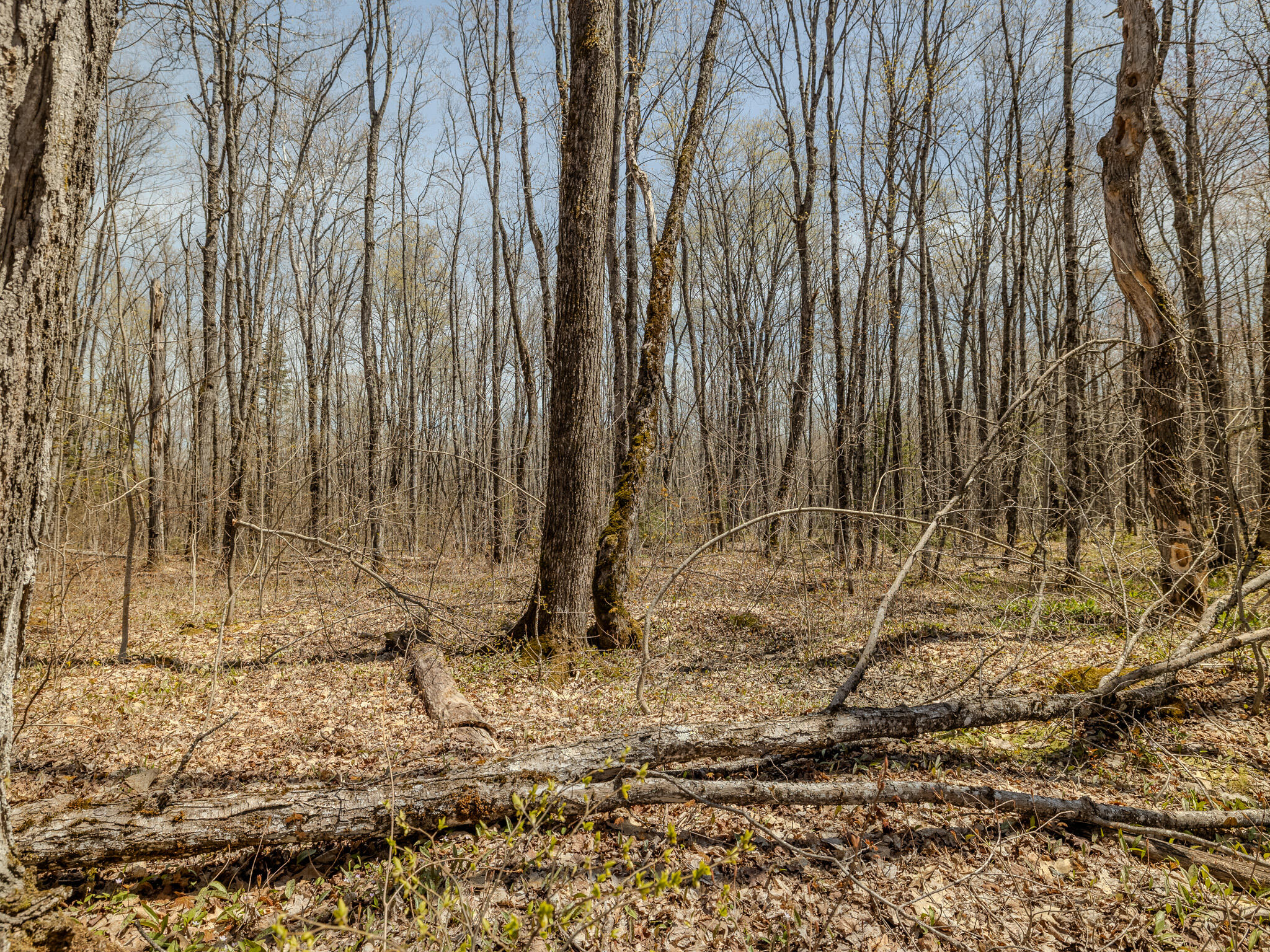 Lot3 East Shore Road Ewen, MI 49925 - Photo 6 of 25 048A2028-HDR