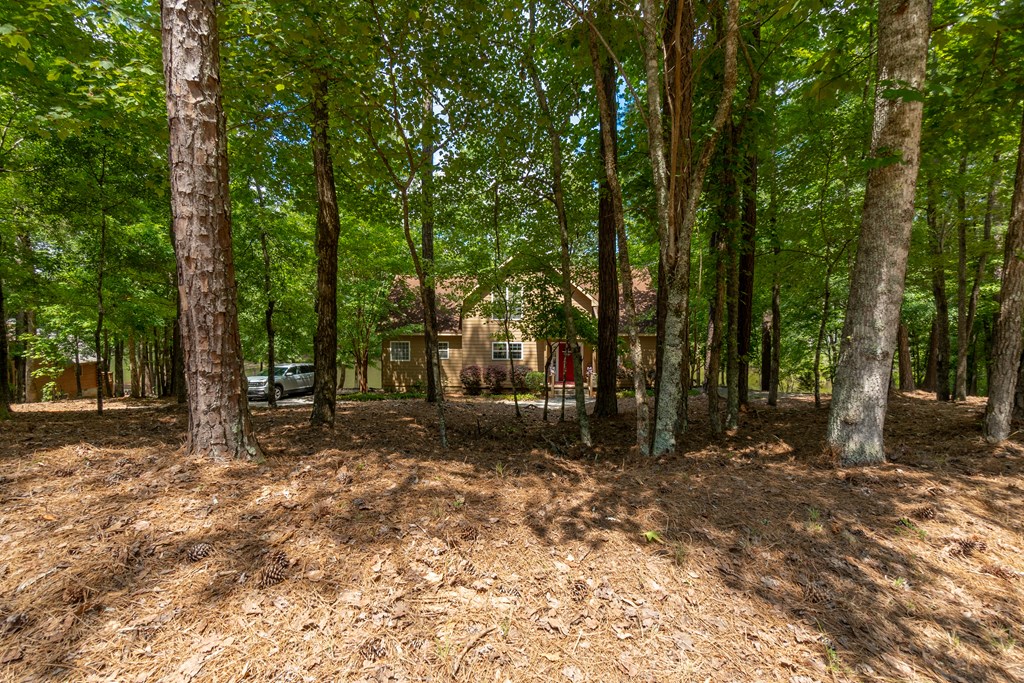 636 Kings Gap Road Hamilton, GA 31811 - Photo 4 of 63 wooded seclusion