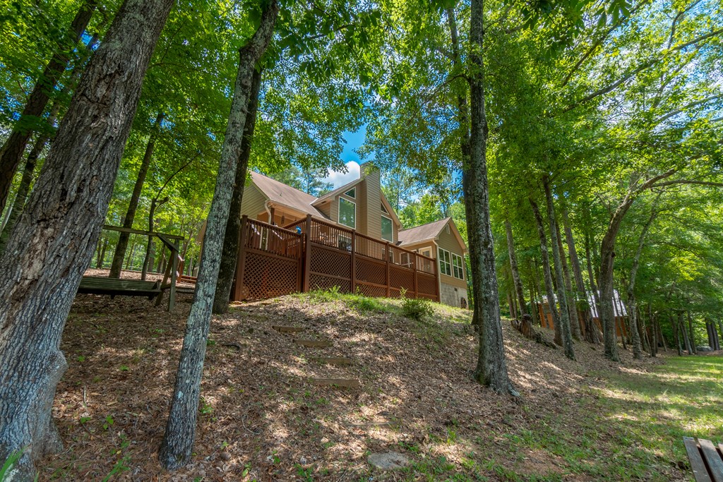 636 Kings Gap Road Hamilton, GA 31811 - Photo 44 of 63 a view of a house with a tree in the yard