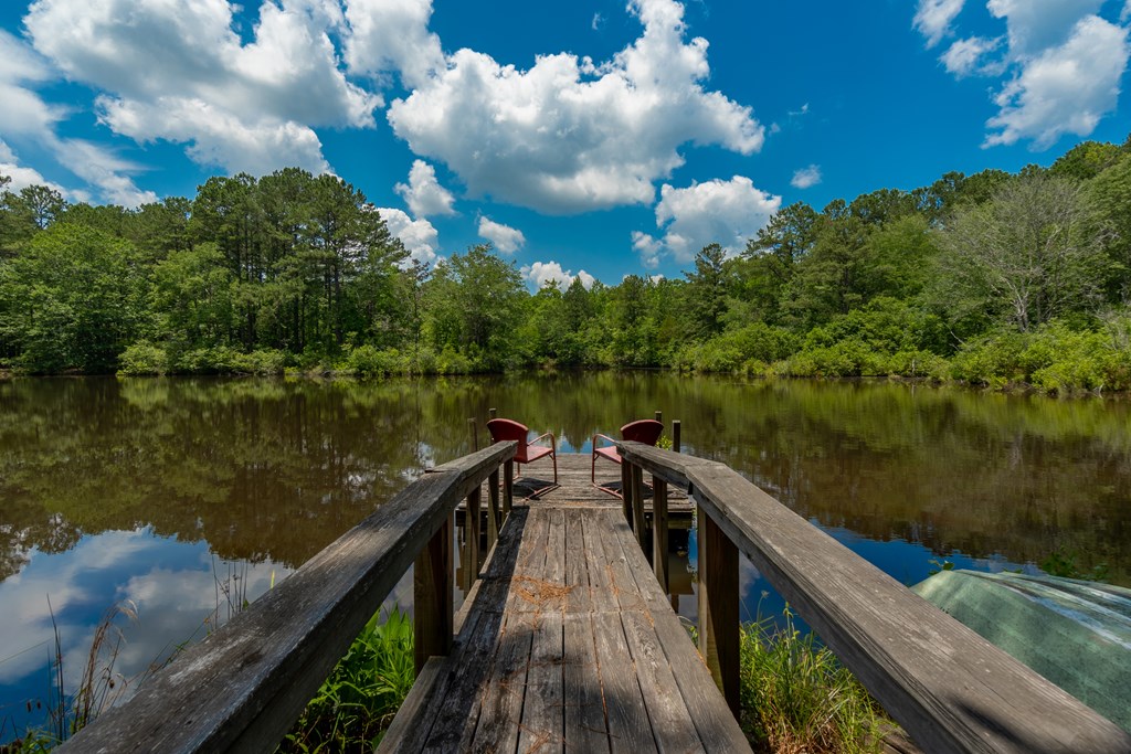 636 Kings Gap Road Hamilton, GA 31811 - Photo 46 of 63