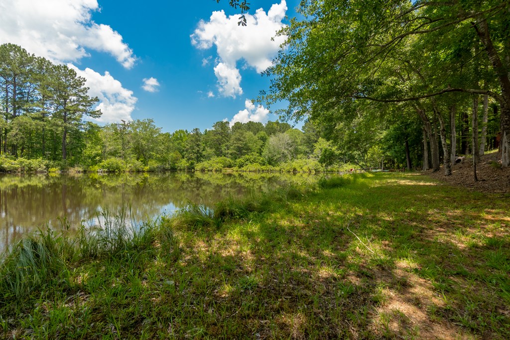 636 Kings Gap Road Hamilton, GA 31811 - Photo 47 of 63 a view of a lake from a yard