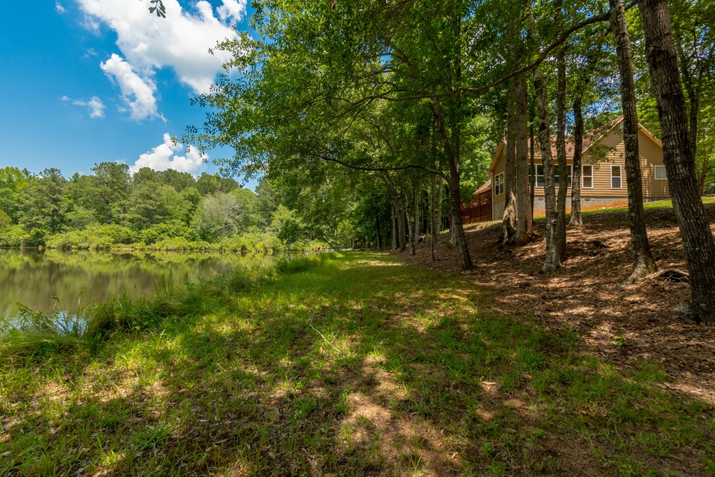636 Kings Gap Road Hamilton, GA 31811 - Photo 48 of 63 a backyard of a house with lots of green space