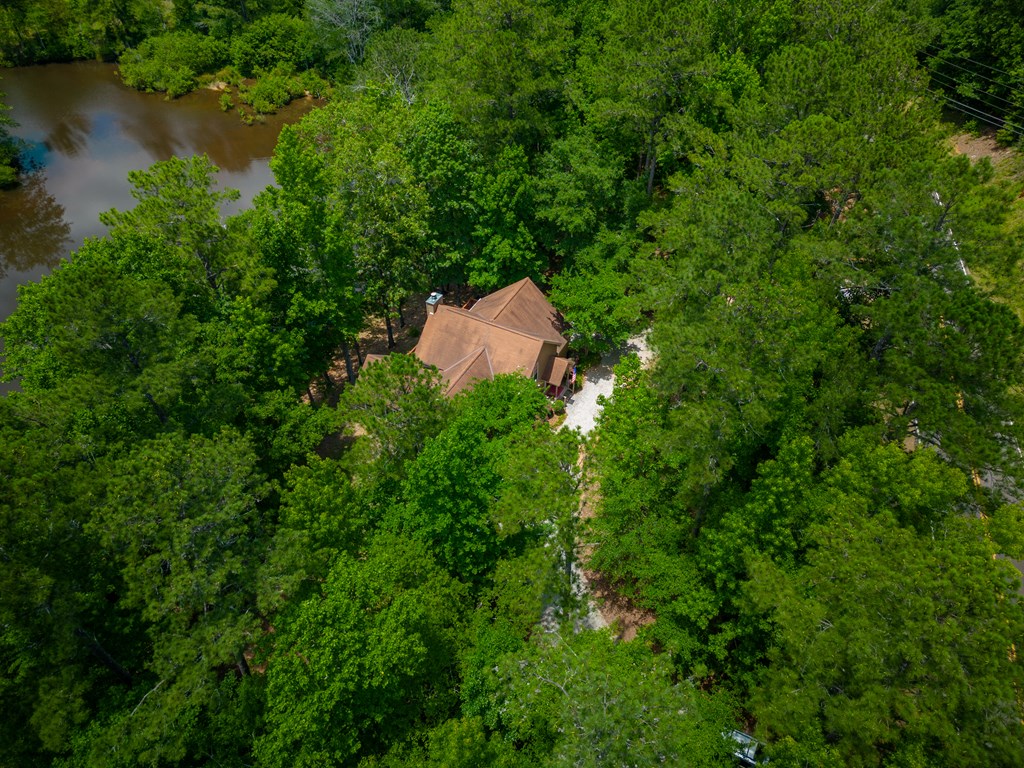 636 Kings Gap Road Hamilton, GA 31811 - Photo 50 of 63 an aerial view of a house with a yard and lake view