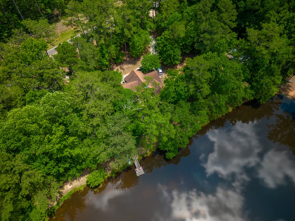 636 Kings Gap Road Hamilton, GA 31811 - Photo 52 of 63 a backyard of a house with a yard and fountain in middle