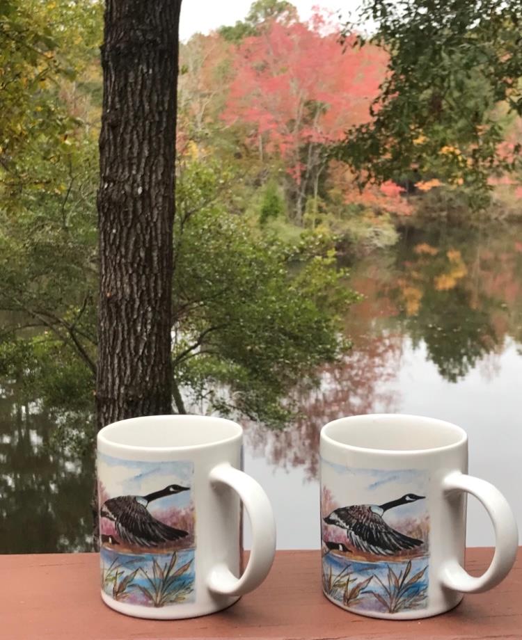 636 Kings Gap Road Hamilton, GA 31811 - Photo 54 of 63