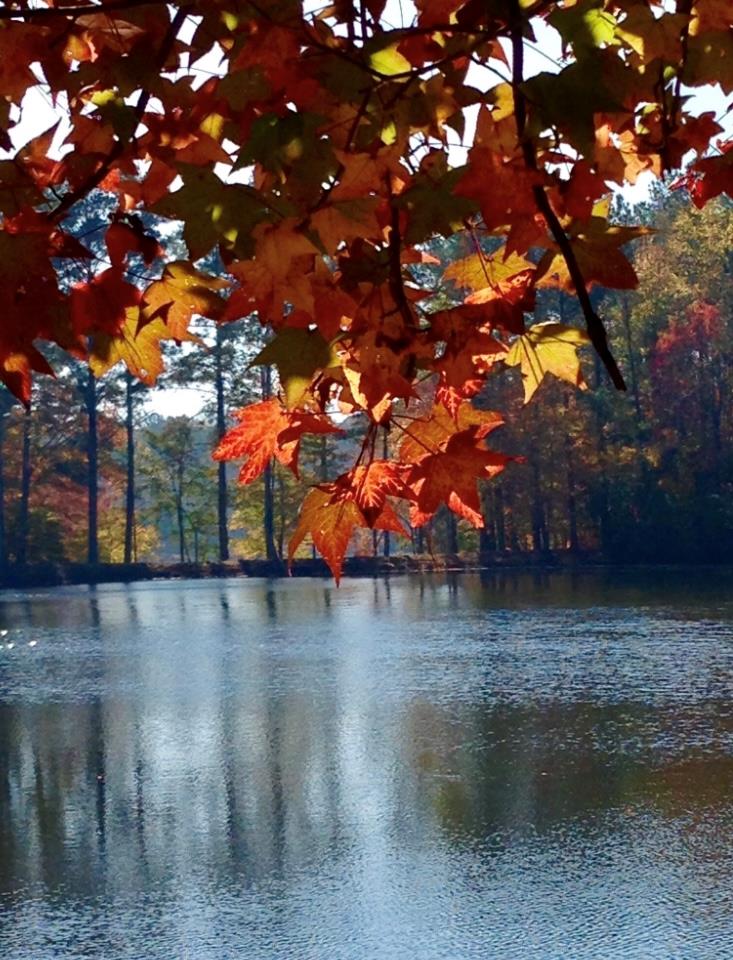 636 Kings Gap Road Hamilton, GA 31811 - Photo 55 of 63 fall time on the lake is extra beautiful