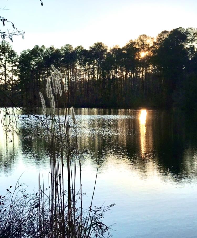 636 Kings Gap Road Hamilton, GA 31811 - Photo 56 of 63 a view of swimming pool from a lake view