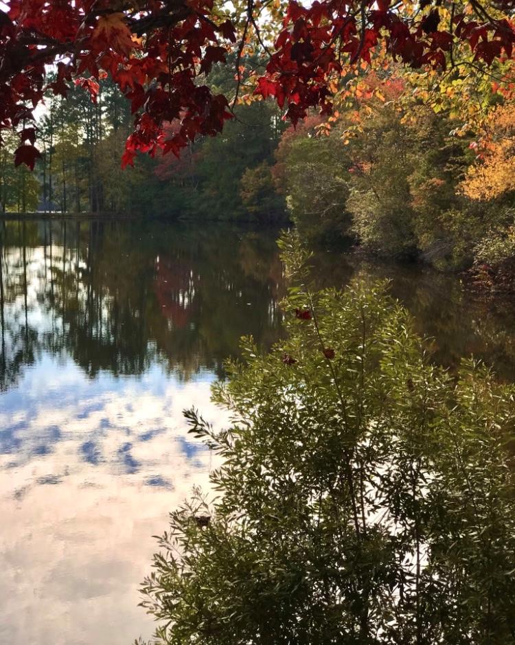 636 Kings Gap Road Hamilton, GA 31811 - Photo 58 of 63