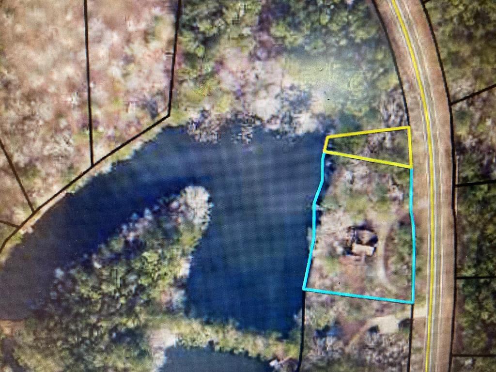 636 Kings Gap Road Hamilton, GA 31811 - Photo 60 of 63 a vase of flowers sitting on a table next to a window