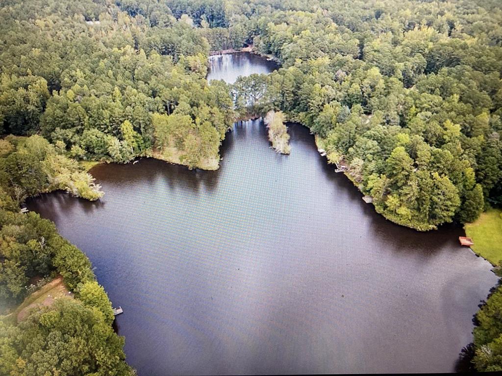 636 Kings Gap Road Hamilton, GA 31811 - Photo 61 of 63 an aerial view of a house with yard and lake view