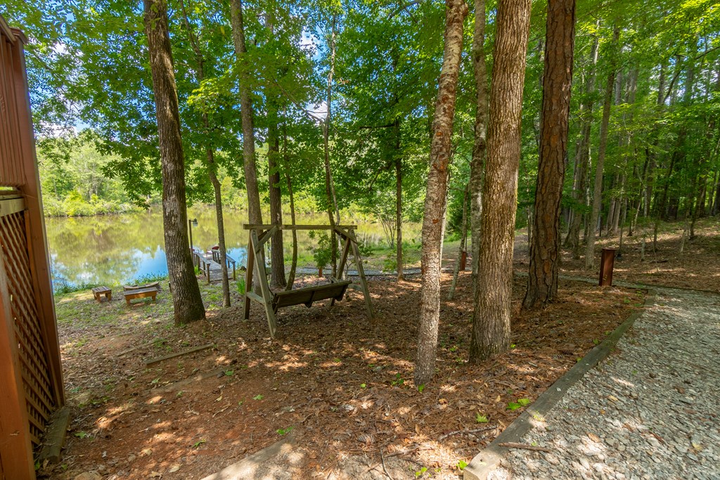 636 Kings Gap Road Hamilton, GA 31811 - Photo 8 of 63 a view of a forest with trees in the background
