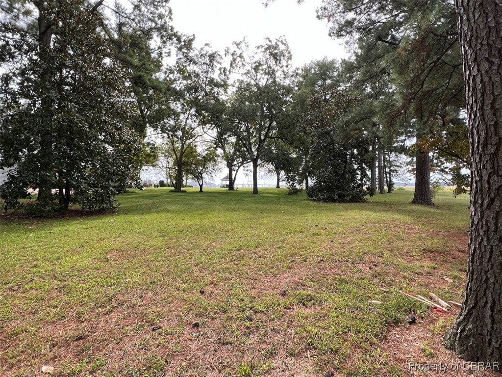 Tbd River Bend Road West Point, VA 23181 - Photo 3 of 10 View of yard