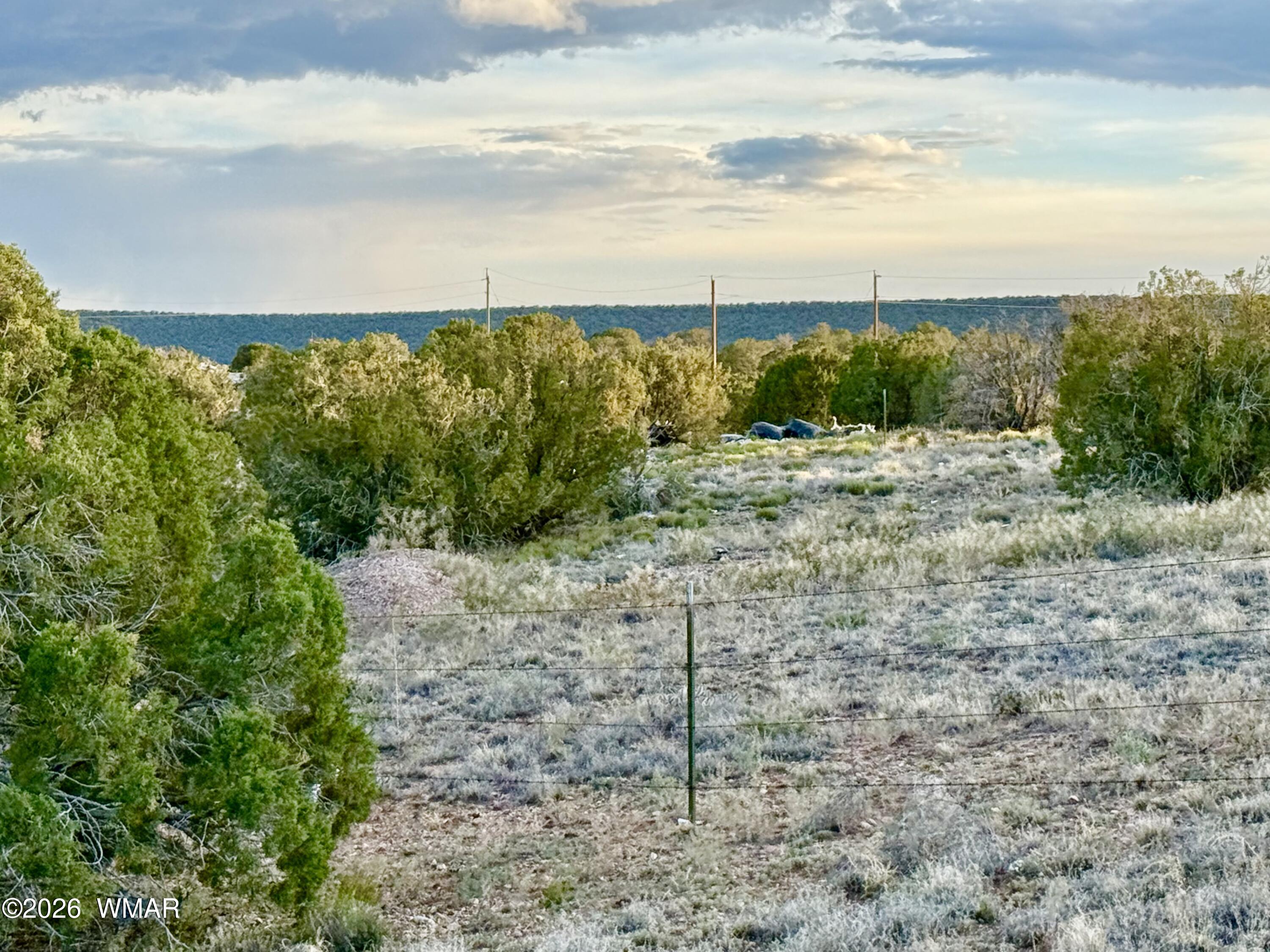 4428 Colt Road Snowflake, AZ 85937 - Photo 9 of 22 IMG_6162