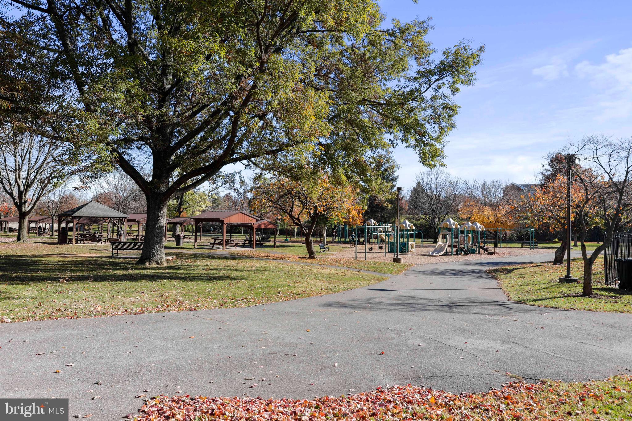 305 College Place Frederick, MD 21701 - Photo 65 of 71 a row of palm trees in a yard next to a road