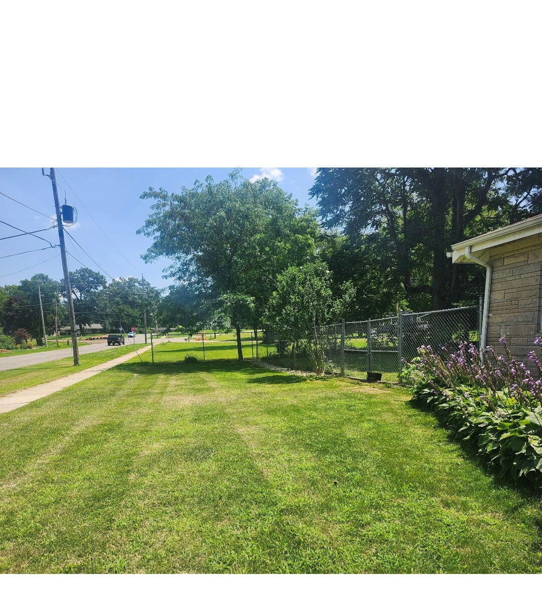 307 Pine Street Decatur, MI 49045 - Photo 19 of 20 Yard last summer