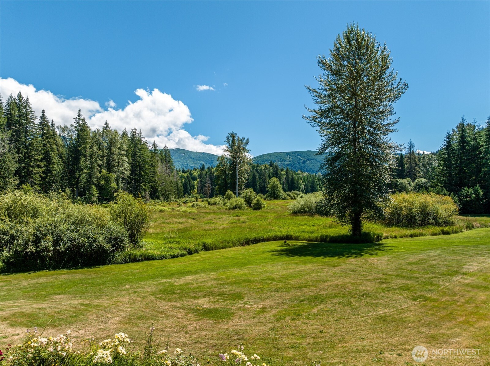 3124 Mosquito Lake Road Deming, WA 98244 - Photo 32 of 39 Gallery Image 32