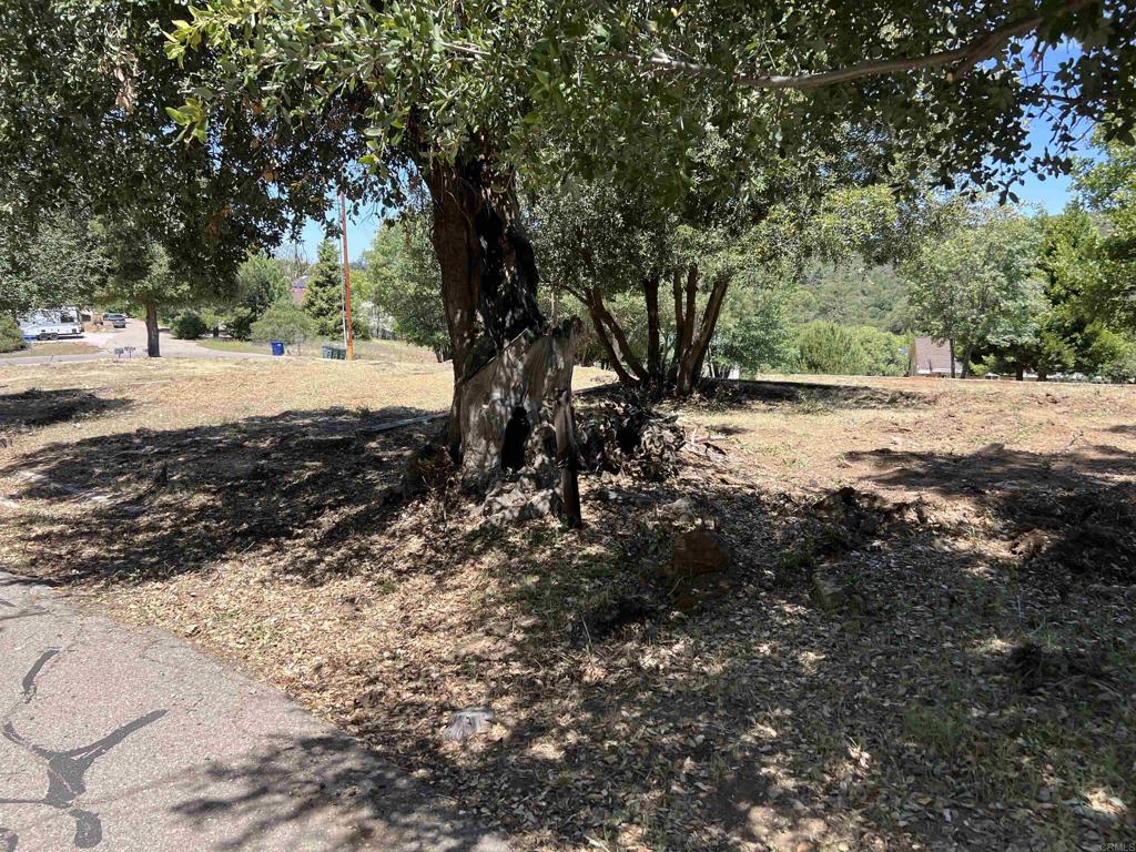 Harrison Park Road Julian, CA 92036 - Photo 11 of 18