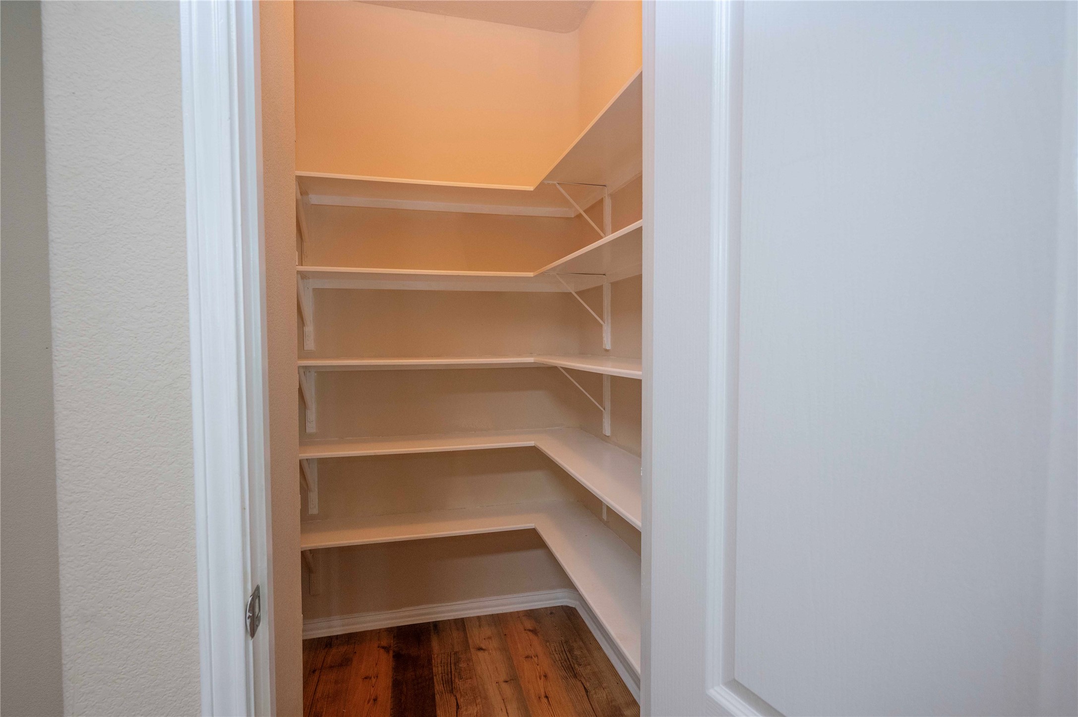 2070 Intrepid Drive Buda, TX 78610 - Photo 7 of 31 Functional pantry space with ample shelving, ready for culinary organization.