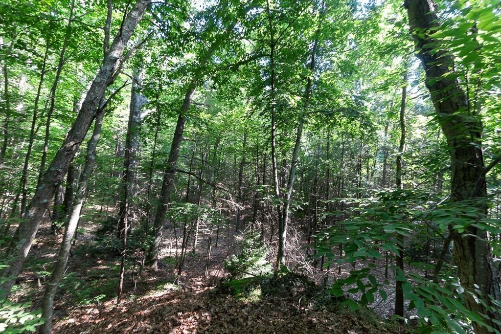 88 Whitins Road Sutton, MA 01590 - Photo 21 of 23