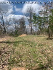 4 Hidden Farms Road Poca, WV 25159 - Photo 17 of 40 Gallery Image 17
