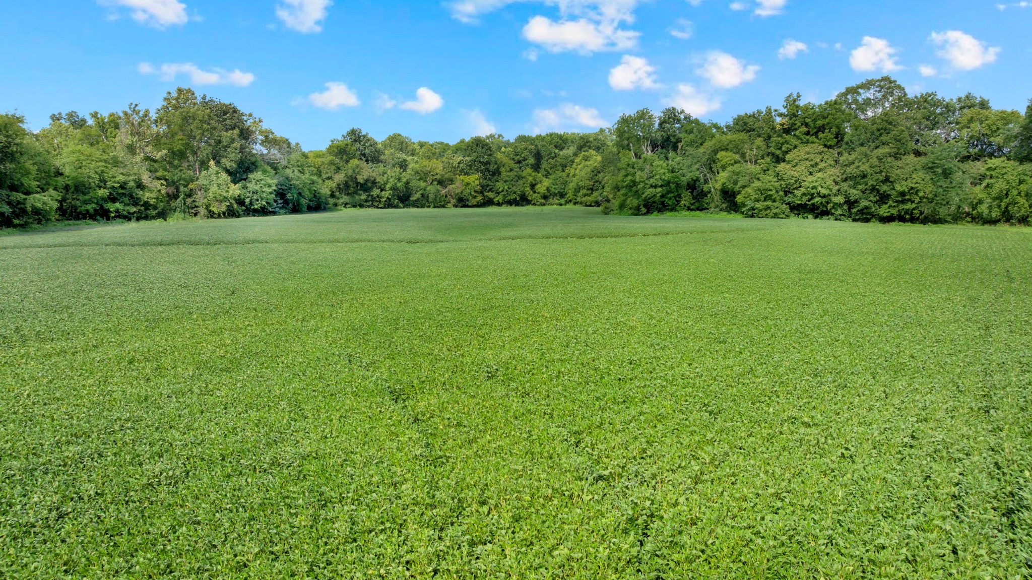 0 South Commerce Road Watertown, TN 37184 - Photo 18 of 37 Gallery Image 18
