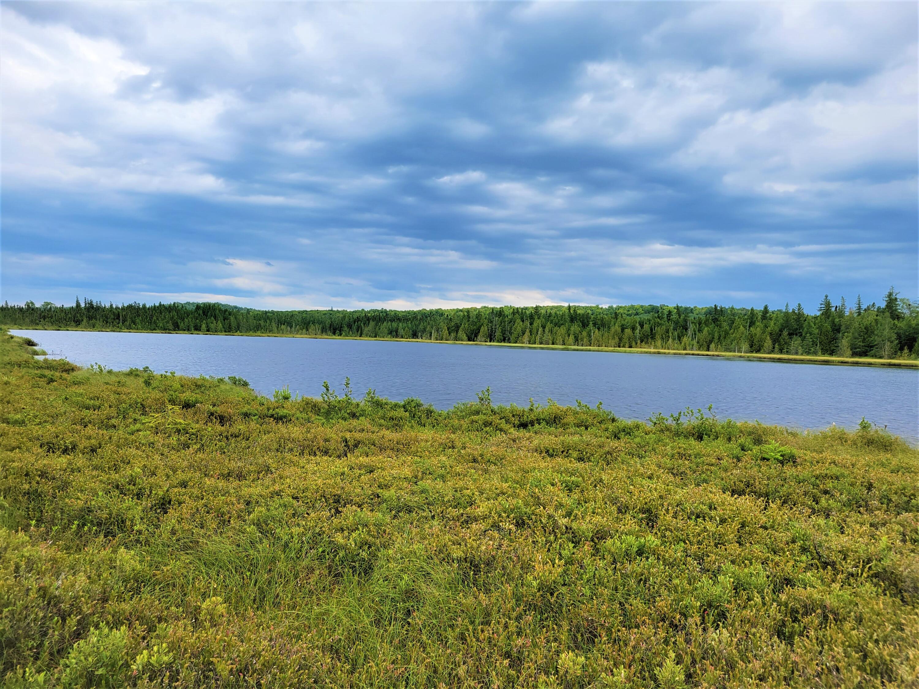 Map38-lot3 Doucette Road Grand Isle, ME 04746 - Photo 17 of 25 2