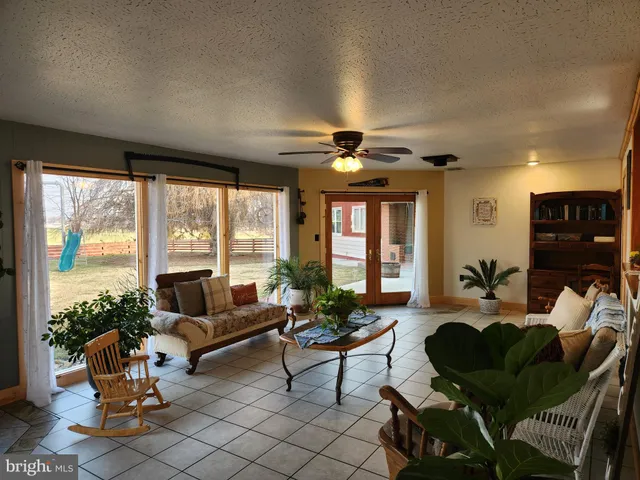 a view of a yard in front of a house with a yard