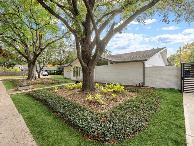a view of a yard with plants and a large tree