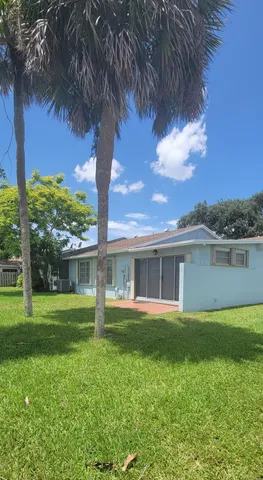 a view of a backyard with plants and large trees