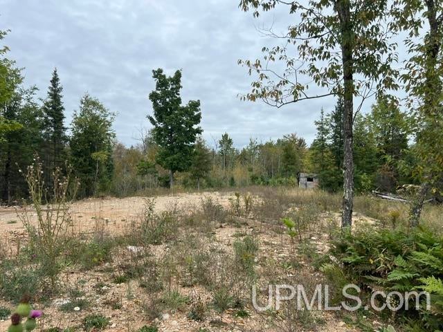 Tbd Oro Road Spalding, MI 49886 - Photo 20 of 22 Gallery Image 20