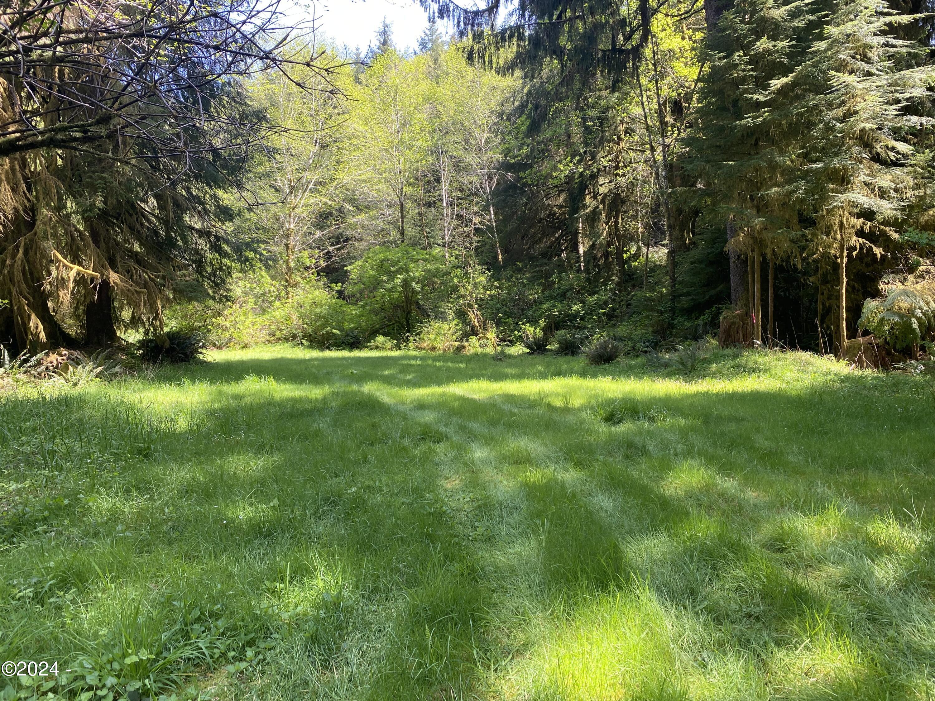 1000 Hamer Road Siletz, OR 97380 - Photo 1 of 11 Possible Homesite