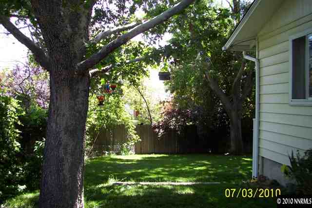 1340 Alturas Avenue Reno, NV 89503 - Photo 6 of 7 a view of a tree in a yard