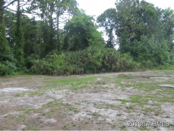 121 Jones Fish Camp Road Edgewater, FL 32141 - Photo 3 of 9 Additional Photo