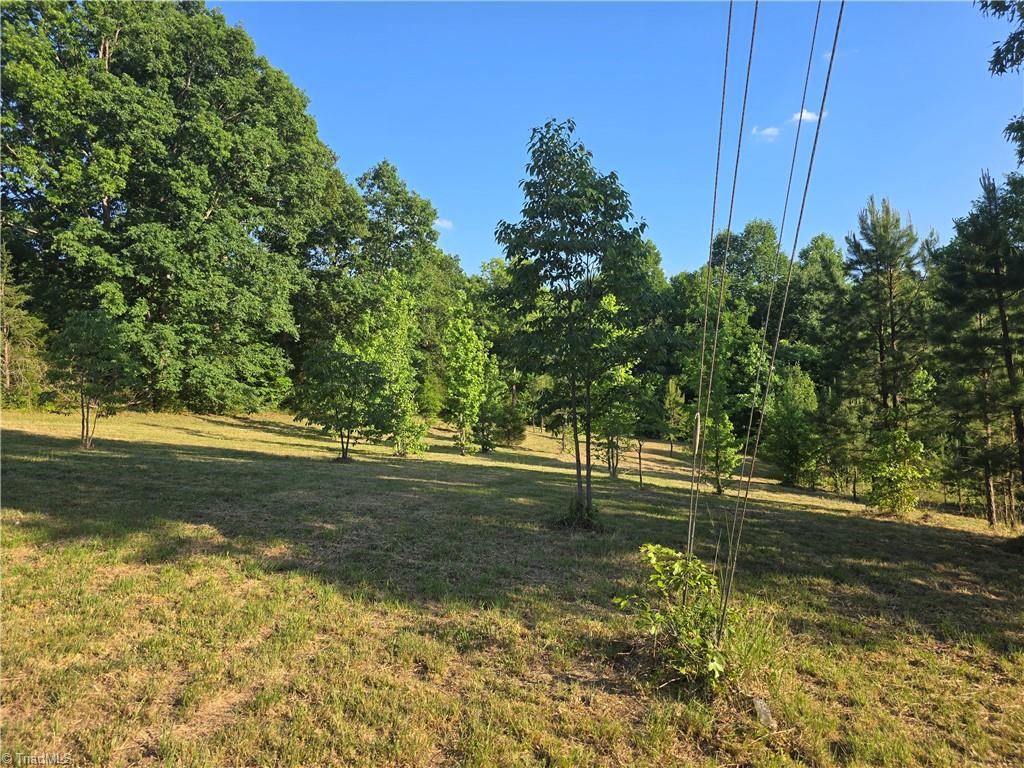 217 Cedar Ridge Road Randleman, NC 27317 - Photo 2 of 18 Possibilities are endless with this Beautiful Property!