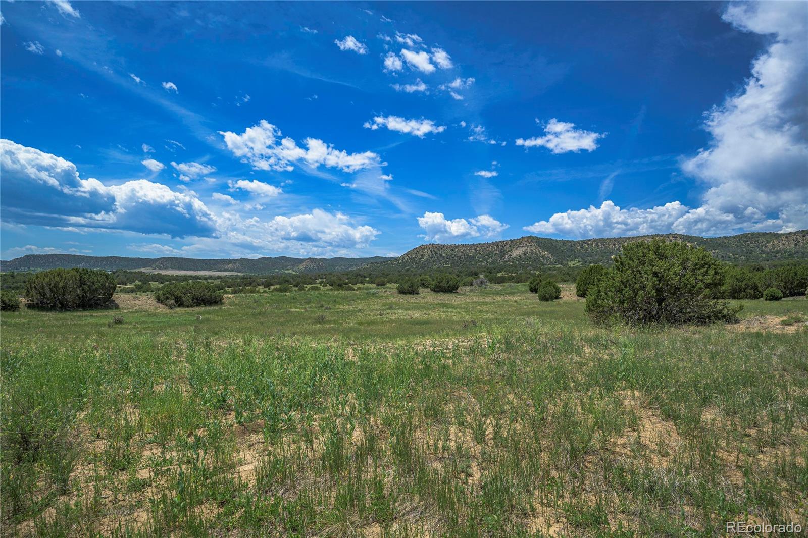 71.1 County Road Trinidad, CO 81082 - Photo 9 of 31