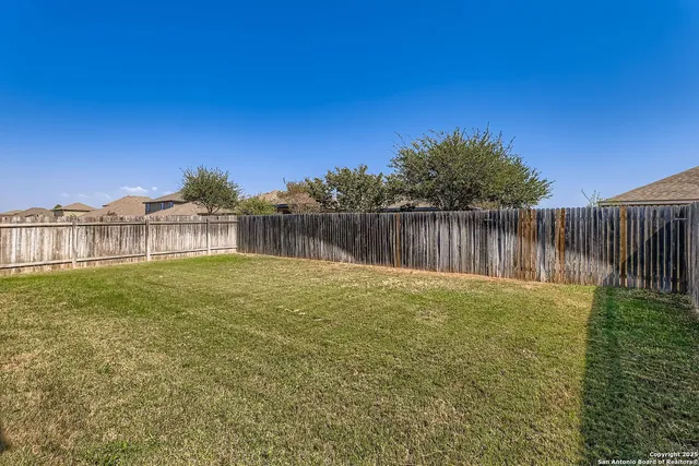 a view of a backyard with a large tree